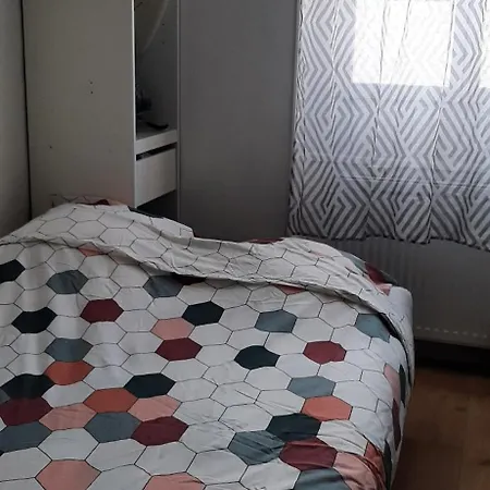 Le Petit Palais 公寓